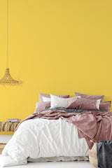 simple cozy bedroom pillows blankets plain wall decor
