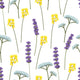Lavender meadow Wallpaper