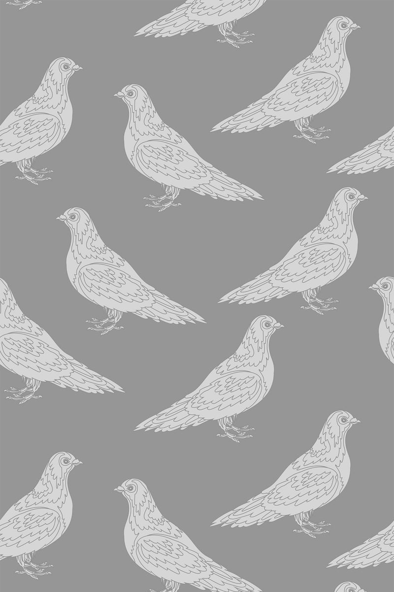 Gray wallpaper with a seamless pattern of white pigeons, each illustrated in a simple, linear style. The birds are evenly spaced, all facing the same direction, creating a uniform and calming effect. The design repeats across the wallpaper, providing a subtle, nature-inspired aesthetic. Peel and stick removable wallpaper.