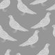 Pigeons Wallpaper