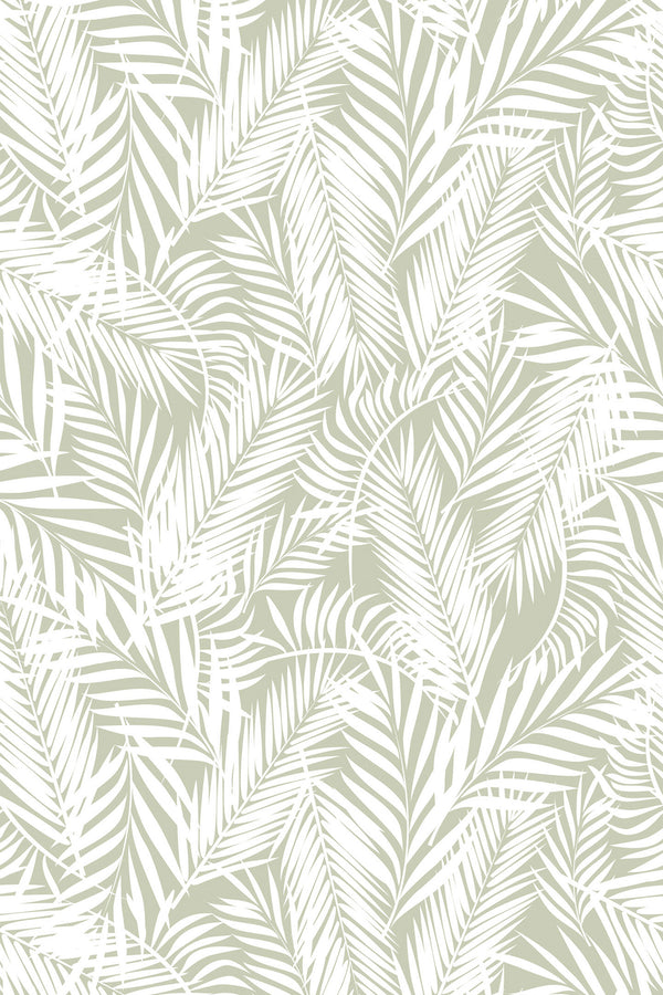 Palm leaves