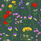 Dragonfly Wallpaper
