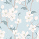 Blossoming tree Wallpaper