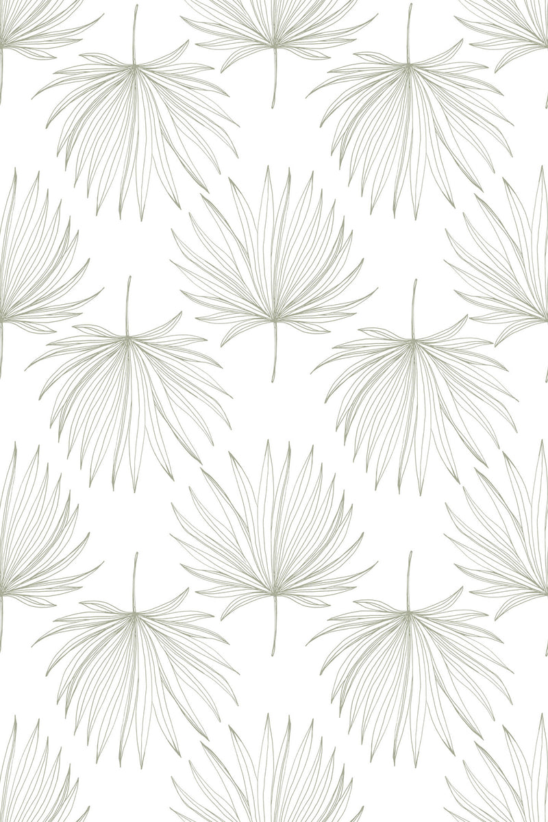 Delicate repeating pattern of light green, finely detailed French leaves on a white background, peel and stick removable wallpaper.