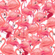 Flamingo Wallpaper