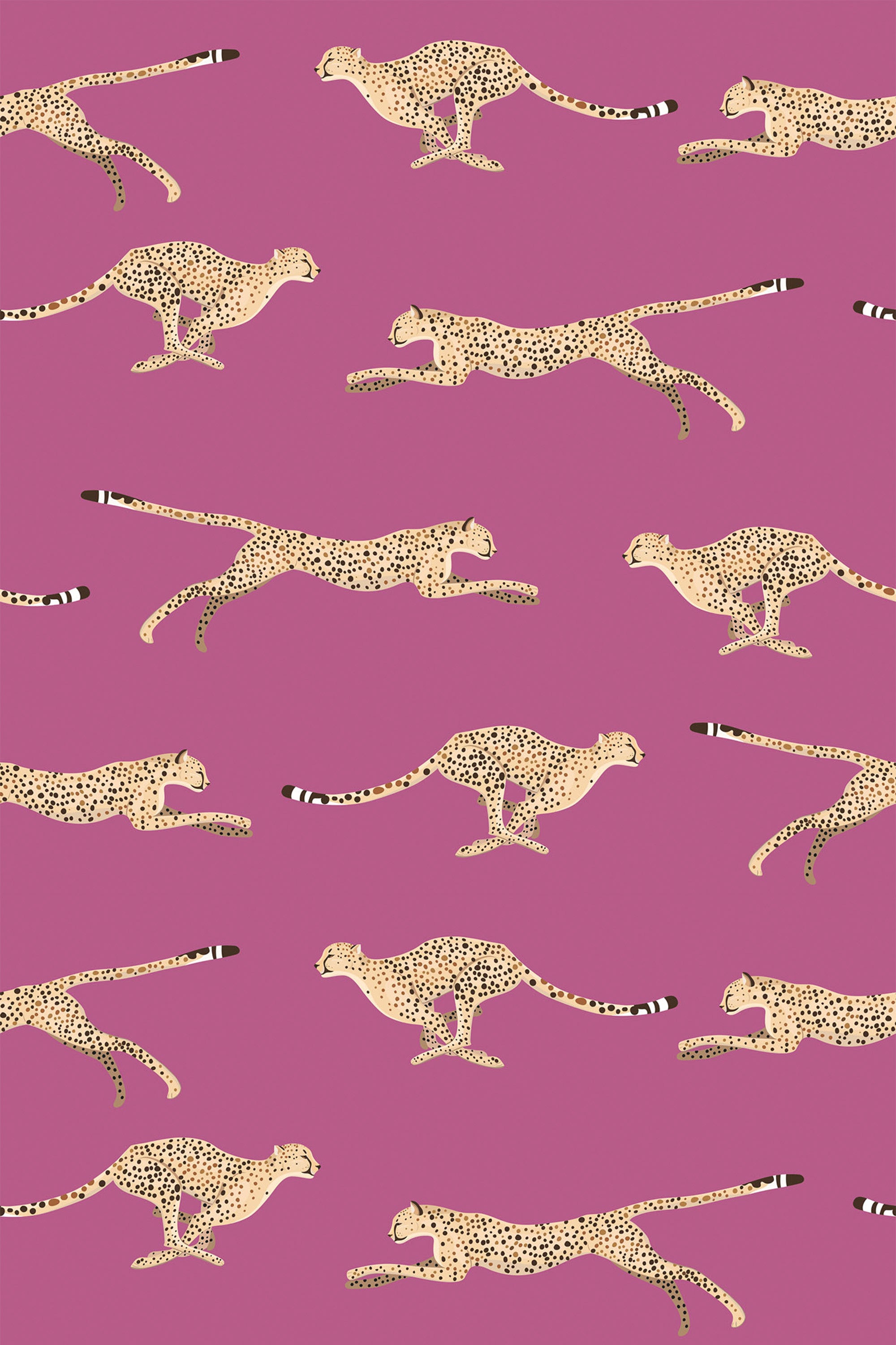 Cheetah pattern on a vibrant pink background with cheetahs in various running poses, peel and stick removable wallpaper.