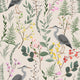 Bird Wallpaper