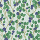 Blueberry Wallpaper