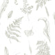 Fern Wallpaper