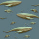 Blue Whale Wallpaper