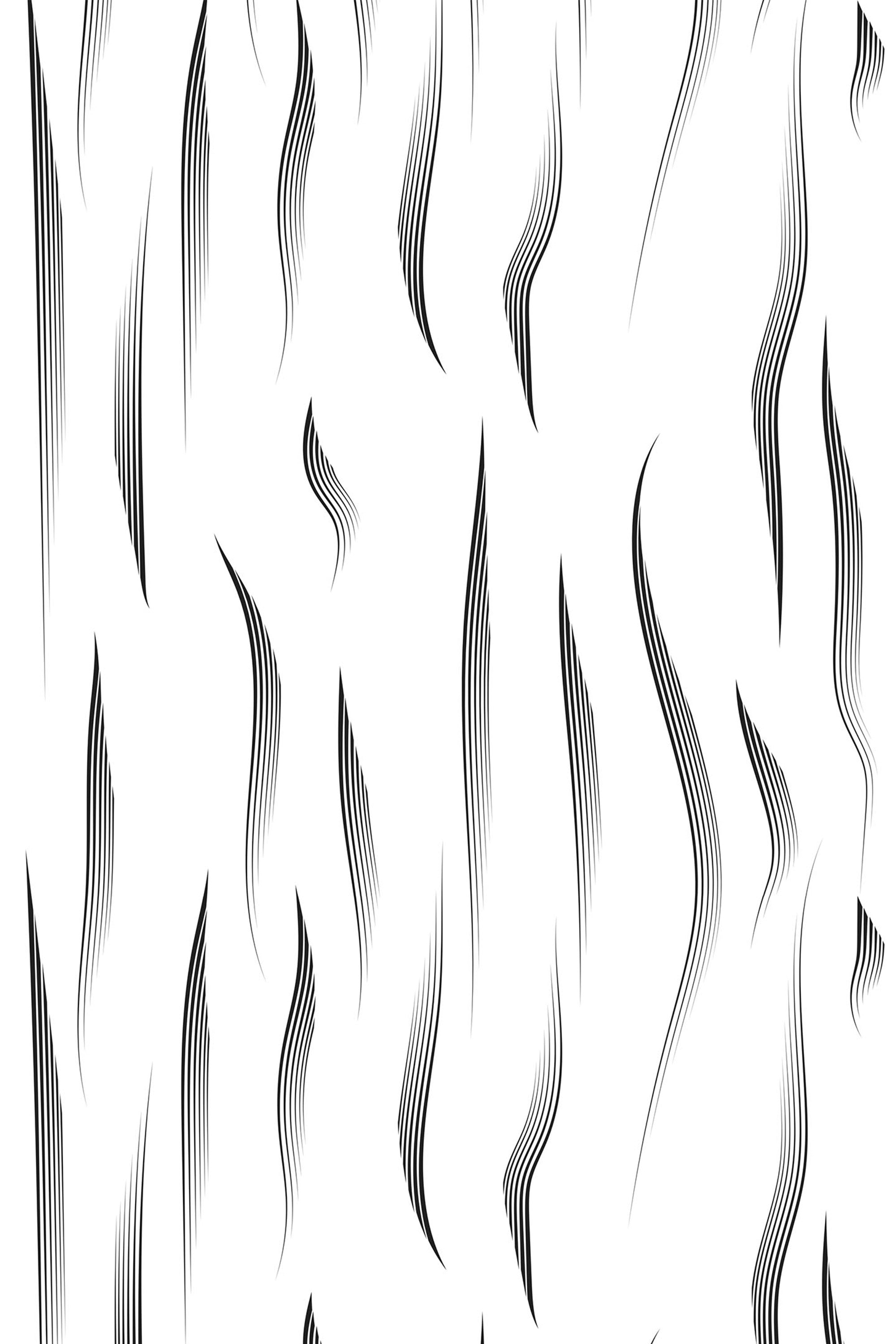 Black and white abstract zebra stripe pattern with curved lines of varying thickness on a white background. Peel and stick removable wallpaper.