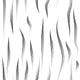 Zebra stripe Wallpaper