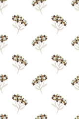 Yarrow