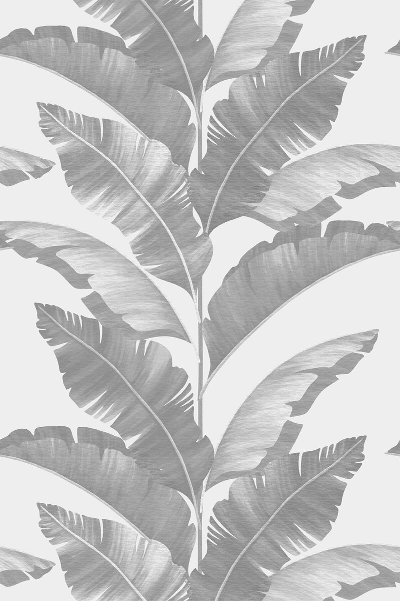 gray tropical leaves wallpaper pattern repeat