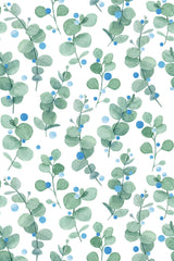 Eucalyptus