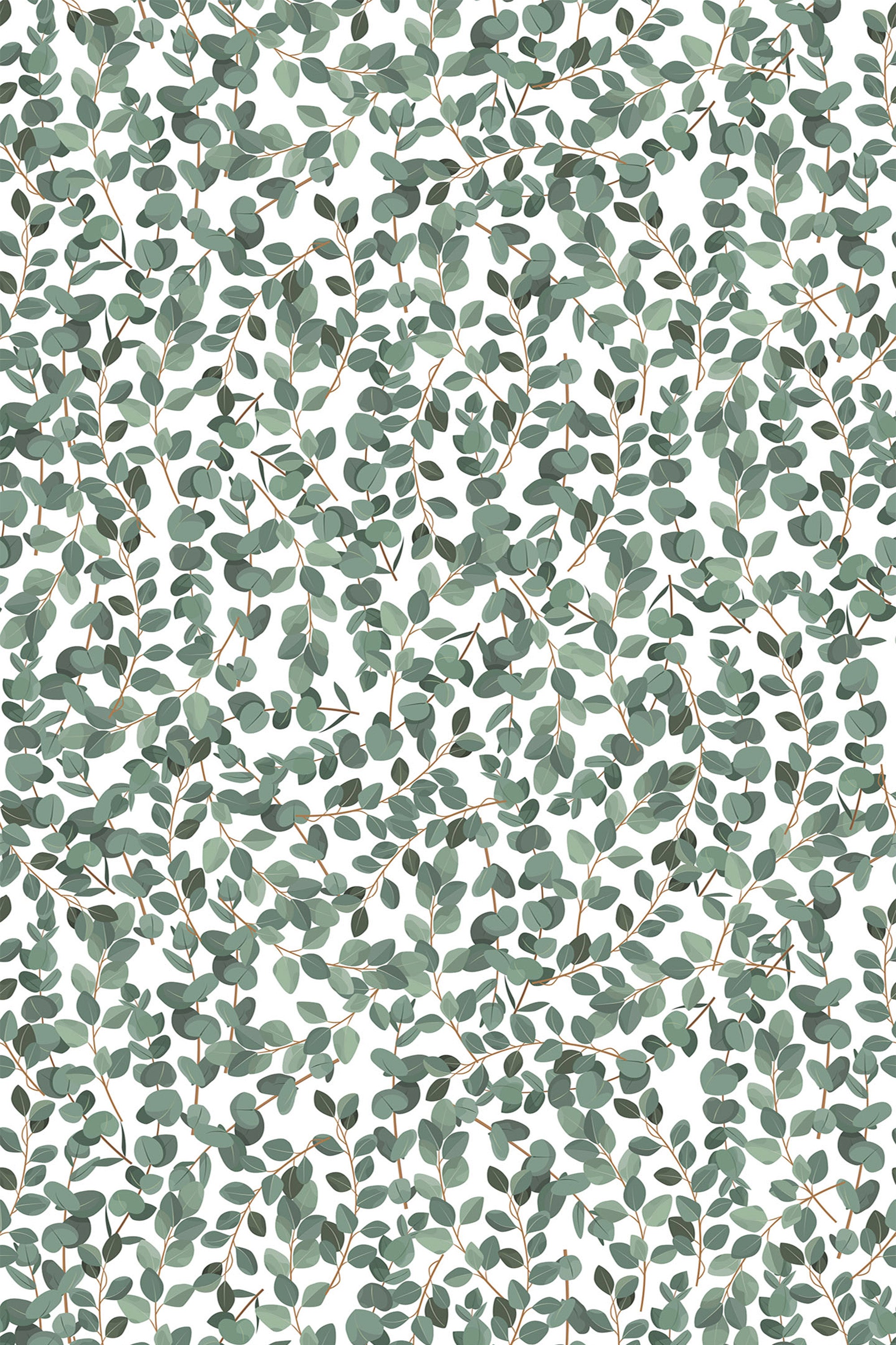 A seamless pattern of green eucalyptus leaves on thin branches with a white background, creating a fresh, natural look. Peel and stick removable wallpaper.