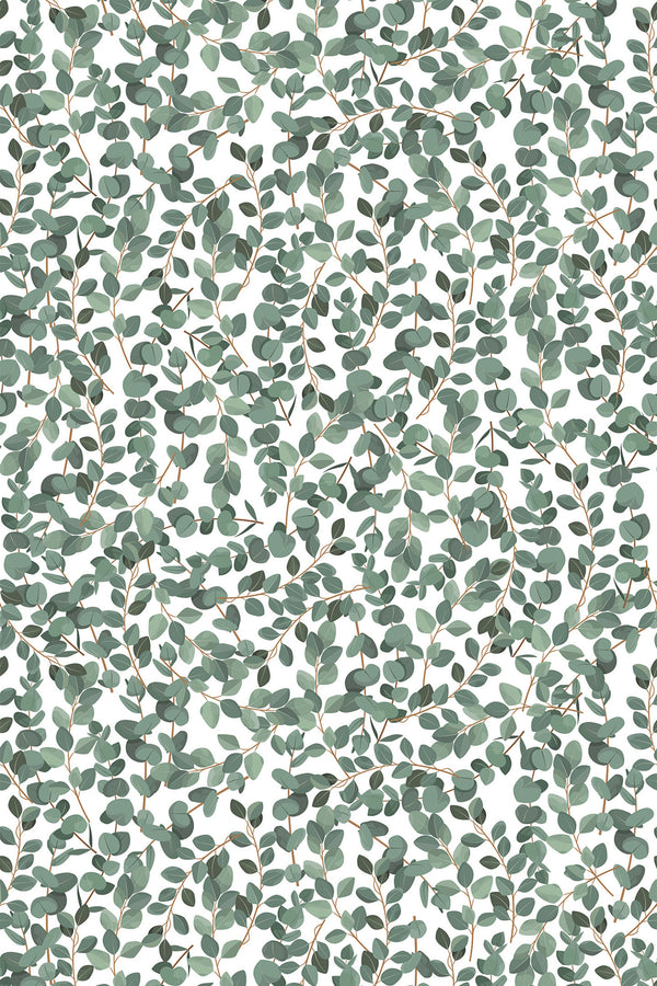 A seamless pattern of green eucalyptus leaves on thin branches with a white background, creating a fresh, natural look. Peel and stick removable wallpaper.