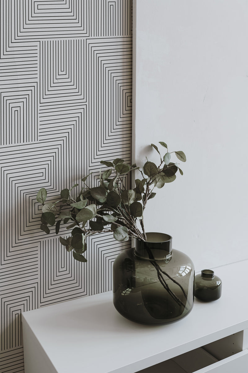 home decor plant decorative vase living room black and white lines pattern