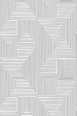 Black and white lines