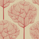 Red oak trees Wallpaper