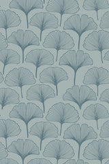 Blue feather palm