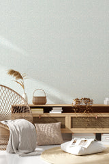 living room rattan furniture decorative plant light blue ornament wall decor
