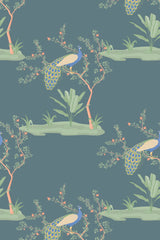 Dreamy peacock