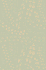 Animal footprints