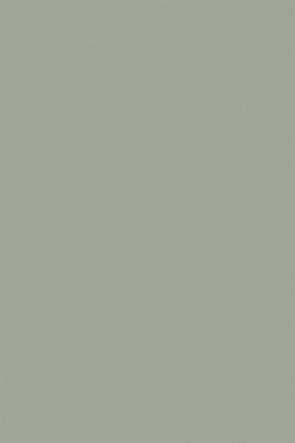 Sage green solid Peel and Stick Removable Wallpaper