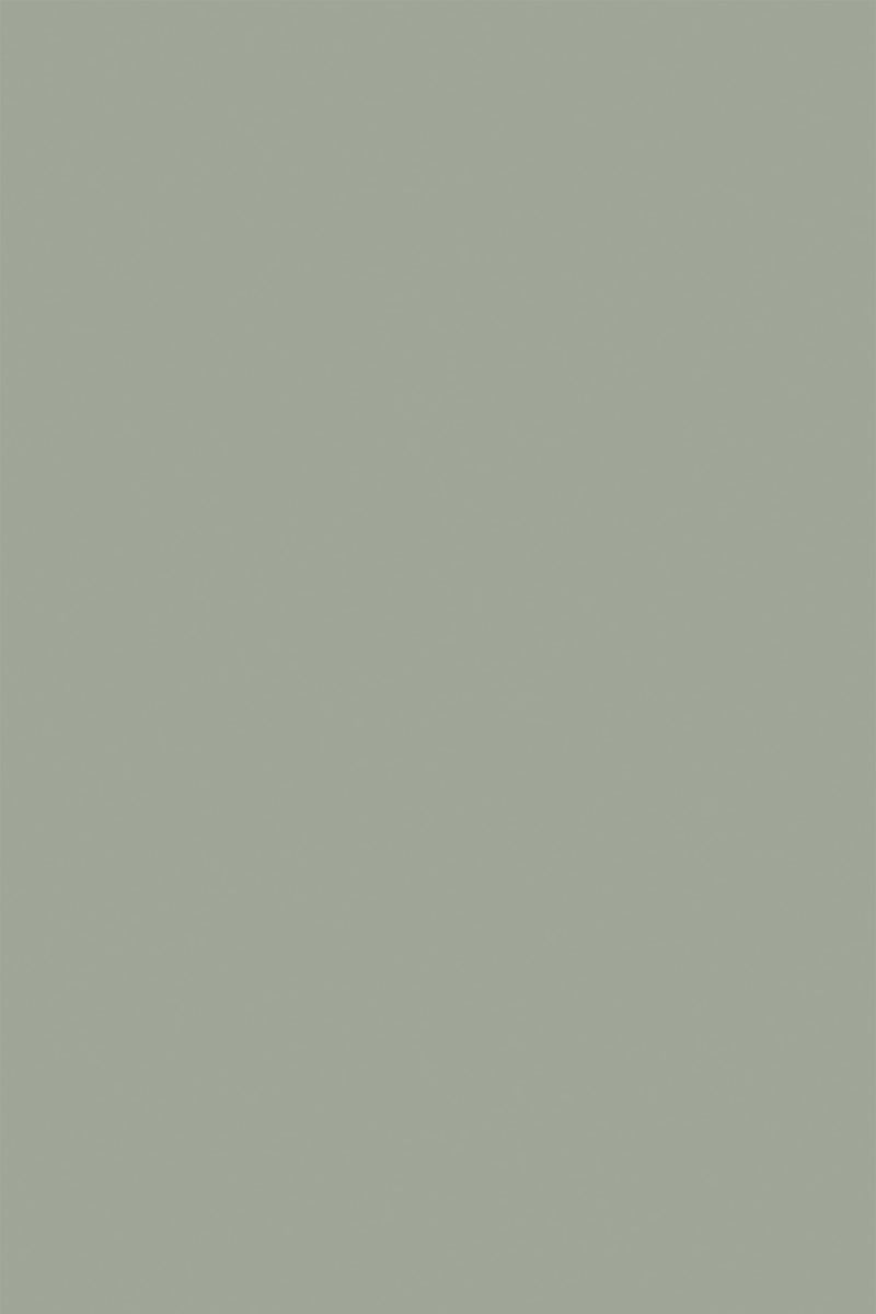 Sage green solid-colored background in a soft, muted tone. Peel and stick removable wallpaper.