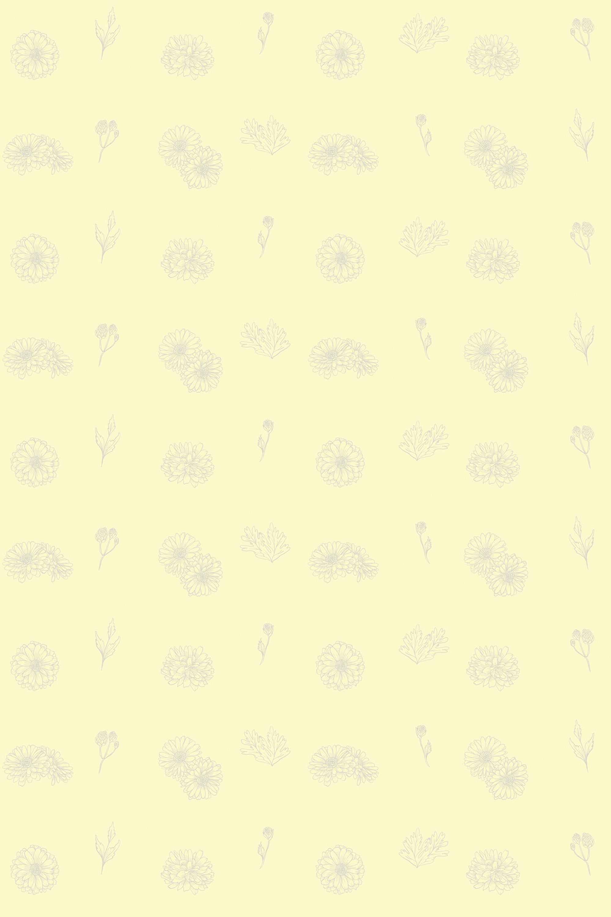 A light yellow background with a delicate light gray floral pattern of dahlias in a line art style, arranged in a soft diagonal repeat. Peel and stick removable wallpaper.