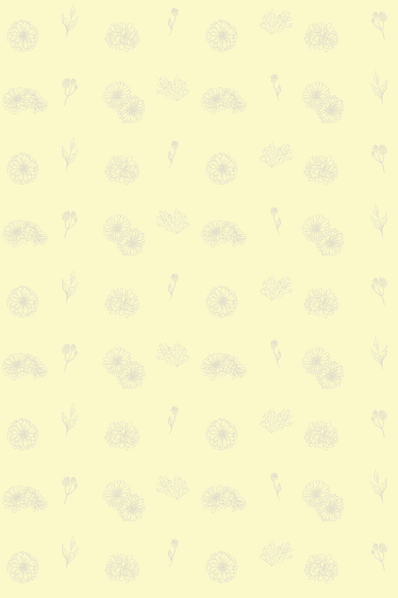 A light yellow background with a delicate light gray floral pattern of dahlias in a line art style, arranged in a soft diagonal repeat. Peel and stick removable wallpaper.