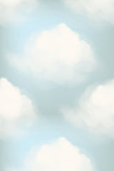 Bay clouds