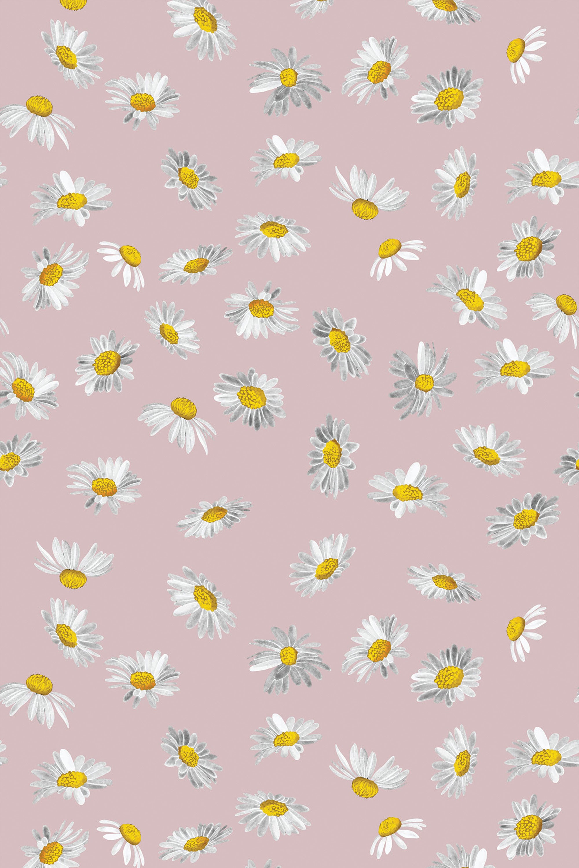 Pattern of hand-drawn white daisies with yellow centers scattered randomly across a soft pink background, peel and stick removable wallpaper.