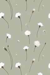 Carnation flowers