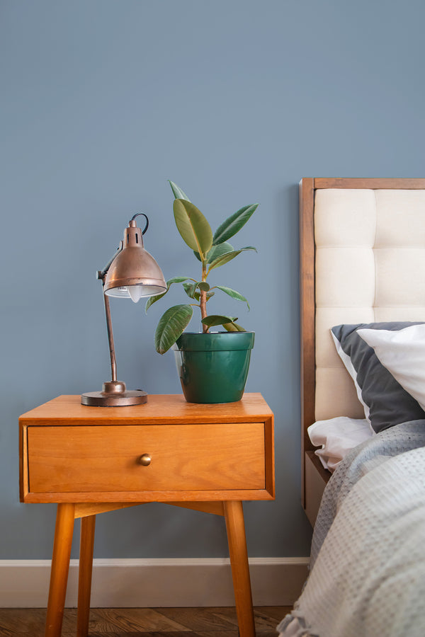 stylish bedroom interior nightstand plant lamp solid dusty blue accent wall