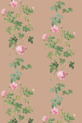 Rose vine