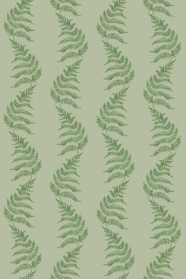 Green fern
