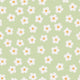 Small little daisies Wallpaper