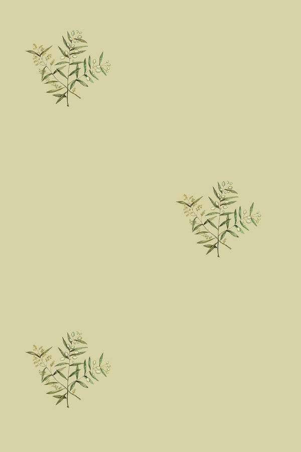 green olives wallpaper pattern repeat