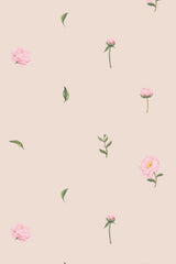 Nursery roses