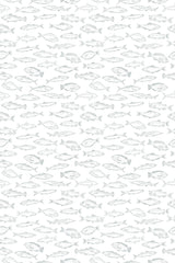 Fish Pattern