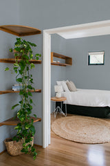bedroom cozy interior green plants round carpet subtle pattern peel & stick wallpaper
