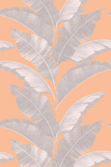 Peachy Tropical
