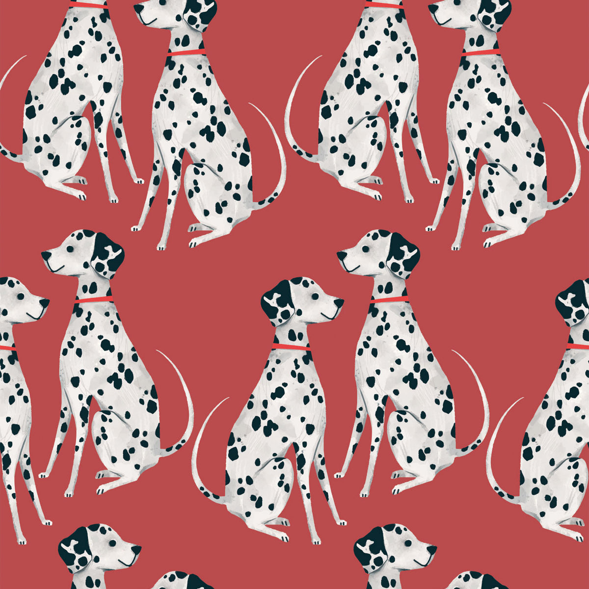 dalmatian wallpaper homebase