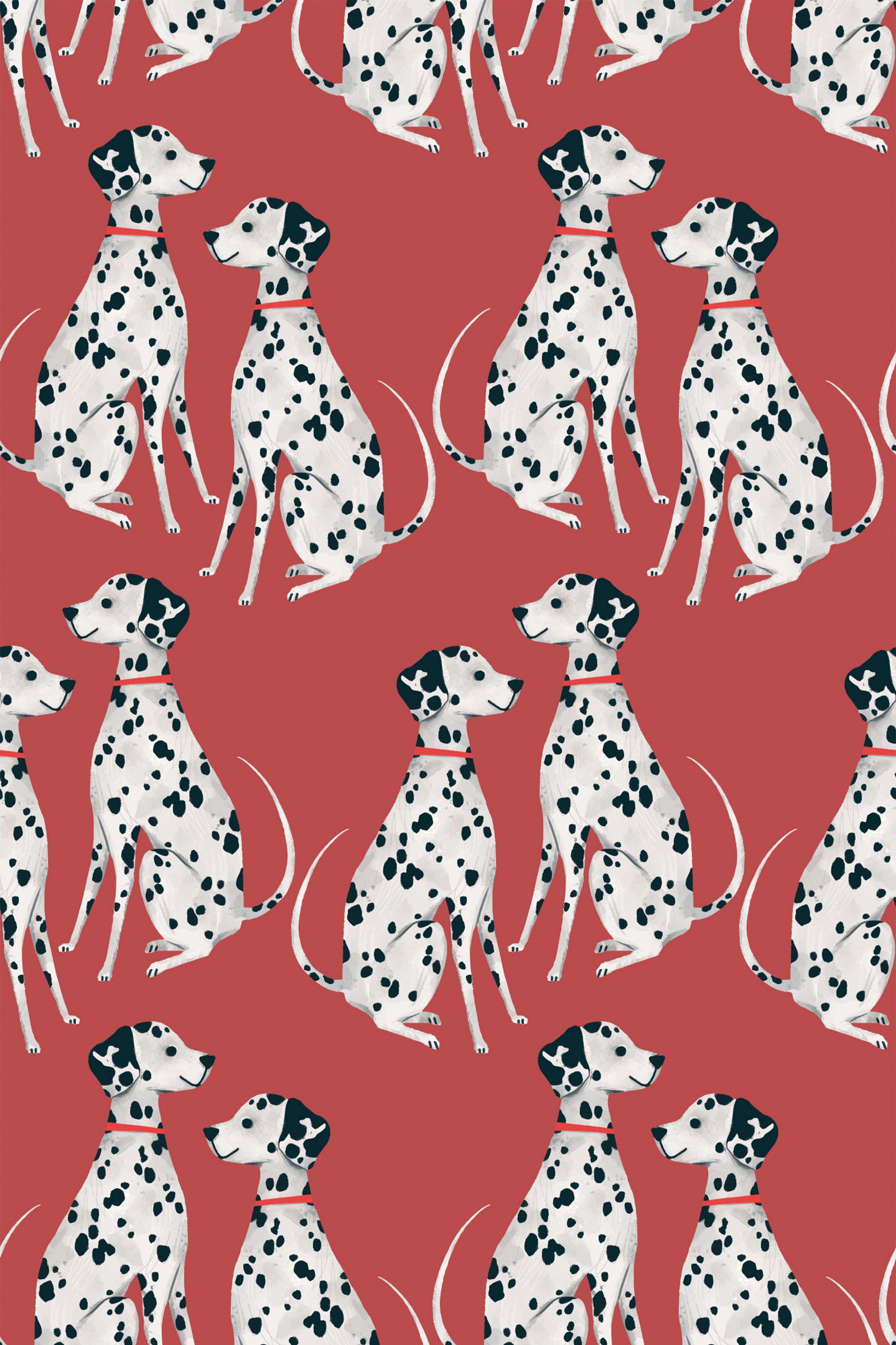 Burgundy background with white and black spotted dalmatian pattern, peel and stick removable wallpaper.