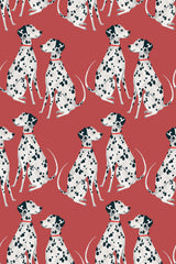 Burgundy dalmatian