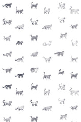 cat breed wallpaper pattern repeat