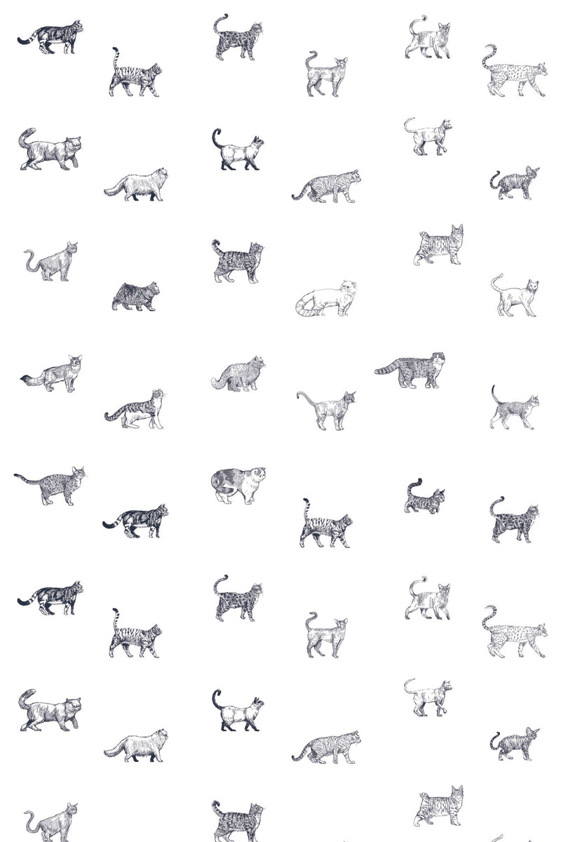 cat breed wallpaper pattern repeat