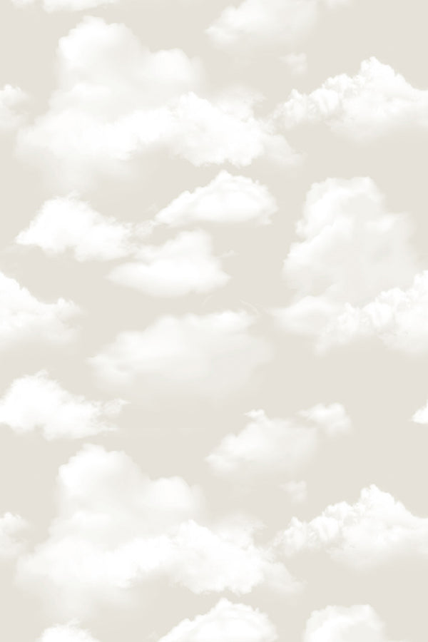 Beachy Clouds in Neutral